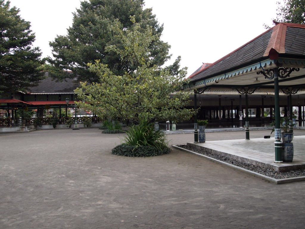 P5265314